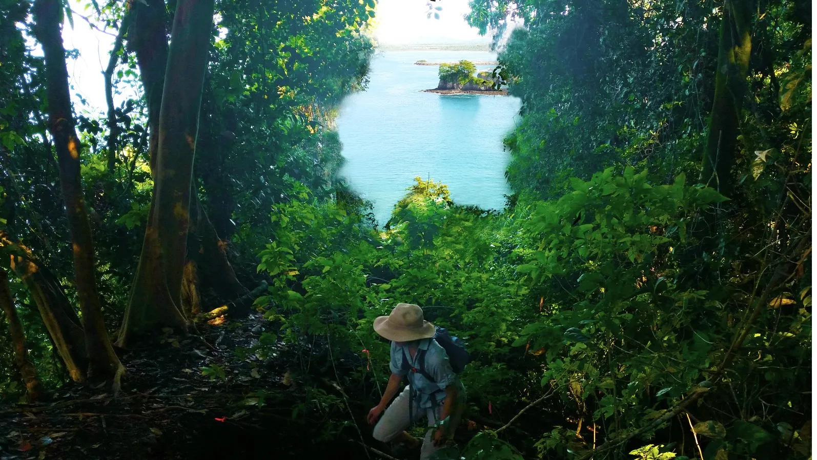 Hiking a rainforest trail down to the ocean in Manuel Antonio